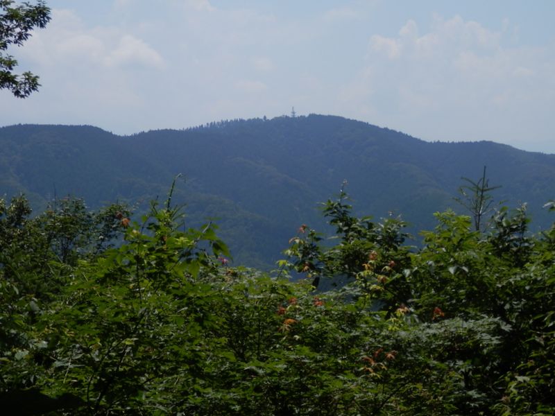 富士見台より、小仏城山を望む