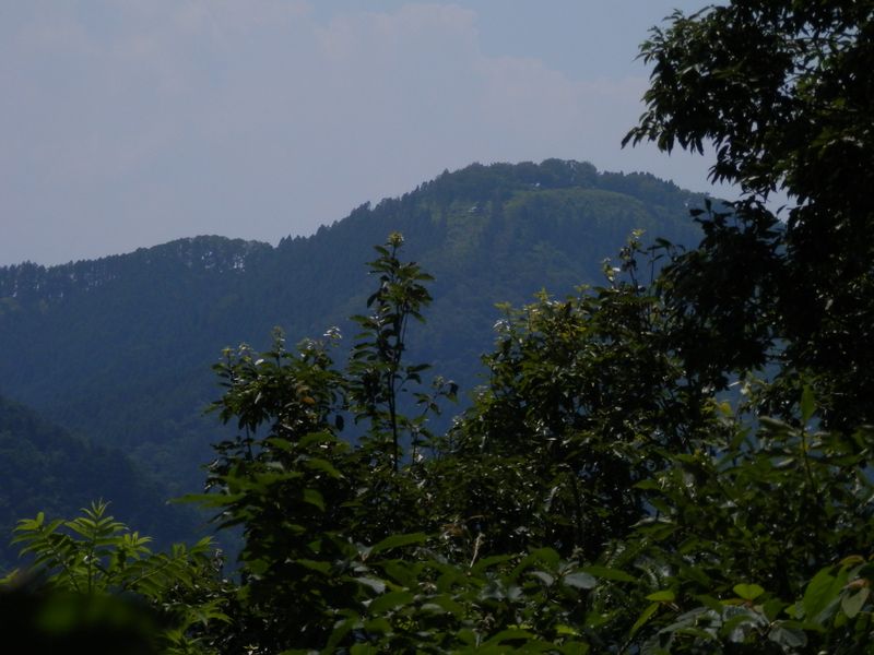 富士見台より、景信山を望む