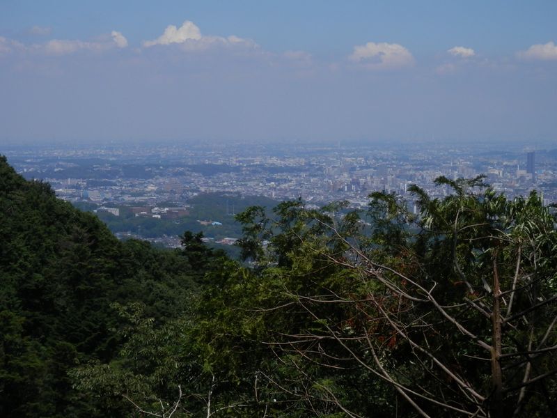 八王子市街地を見渡す