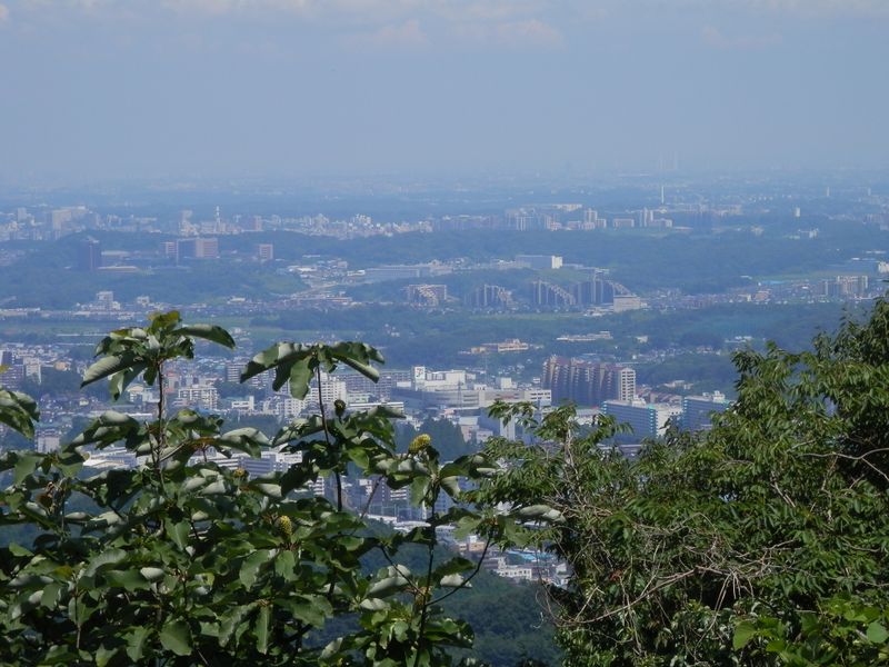 八王子城山より、市街地を望む