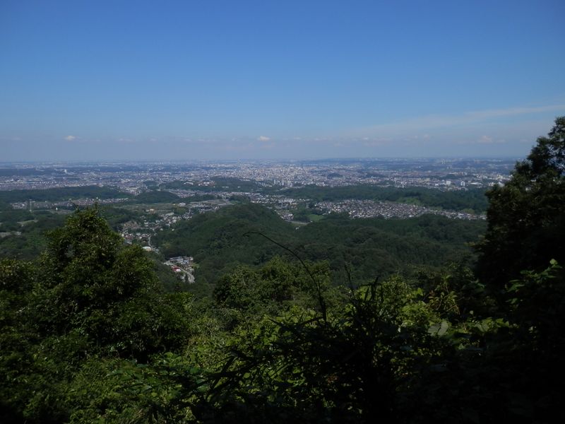 八王子神社の近くから、八王子市街地を望む