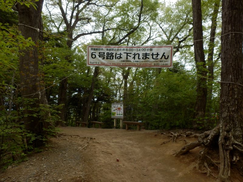 6号路を下山