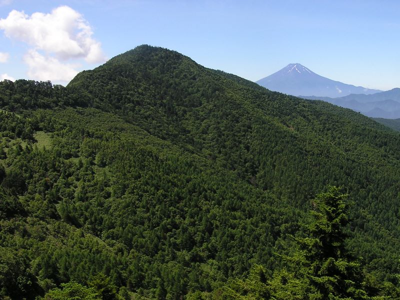小金沢山と富士山