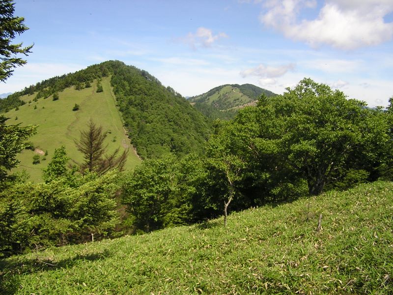 振り返ると、熊沢山（左）と大菩薩嶺が