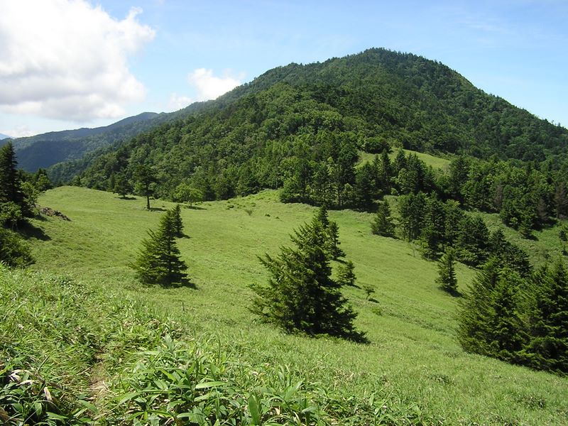 なだらかな草原の向こうから小金沢山が呼ぶ