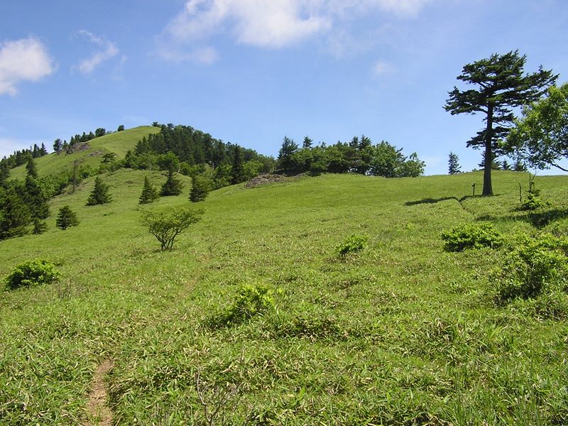 小金沢山・牛奥ノ雁ヶ腹摺山 -- 狼平から北を振り返る