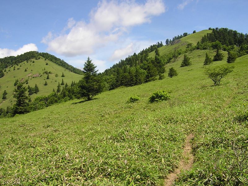 小金沢山・牛奥ノ雁ヶ腹摺山 -- 熊沢山（左）と天狗棚山（右）とを振り返る