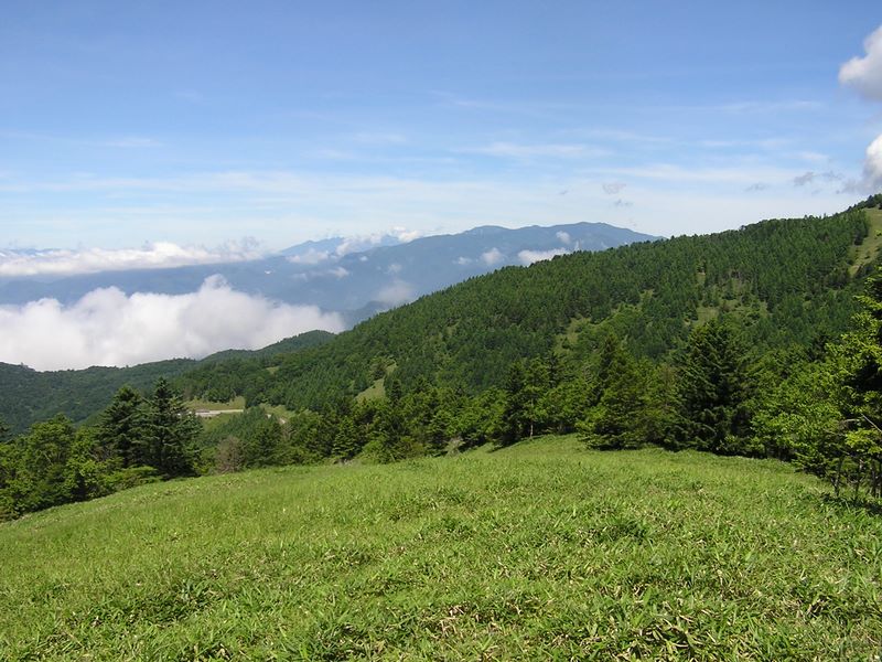 小金沢山・牛奥ノ雁ヶ腹摺山 -- 金峰山、国師ヶ岳を望む