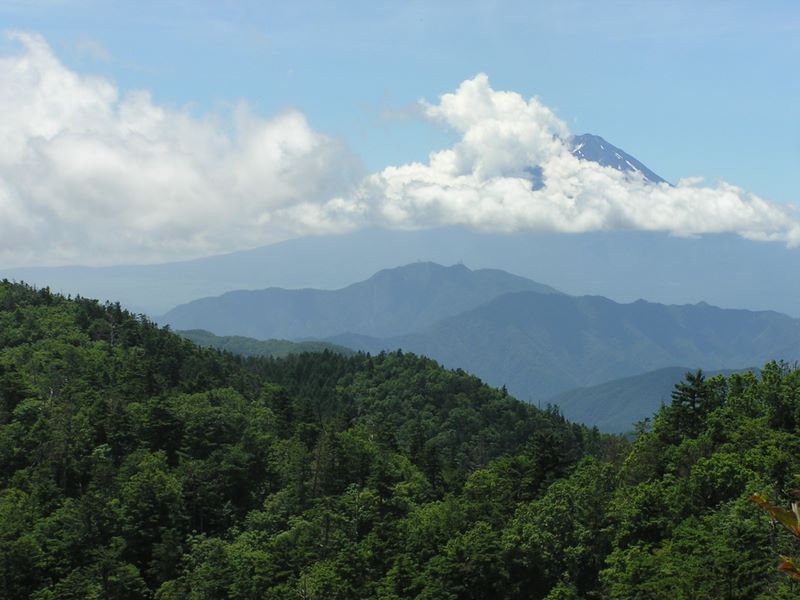 小金沢山頂から富士山､三ツ峠山、本社ヶ丸を望む