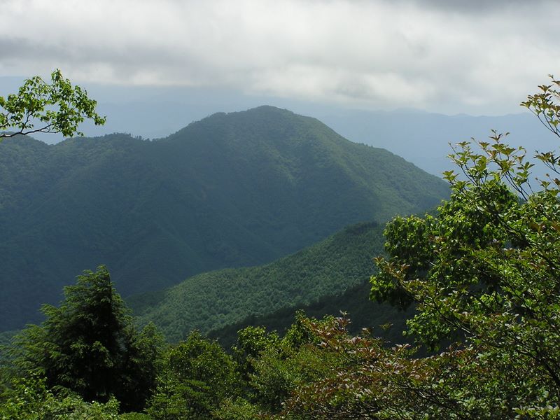 小金沢山から、行く手の牛奥ノ雁ヶ腹摺山を望む