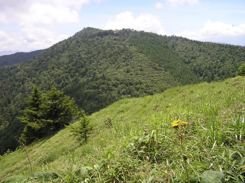 小金沢山・牛奥ノ雁ヶ腹摺山 -- 黒岳を望む