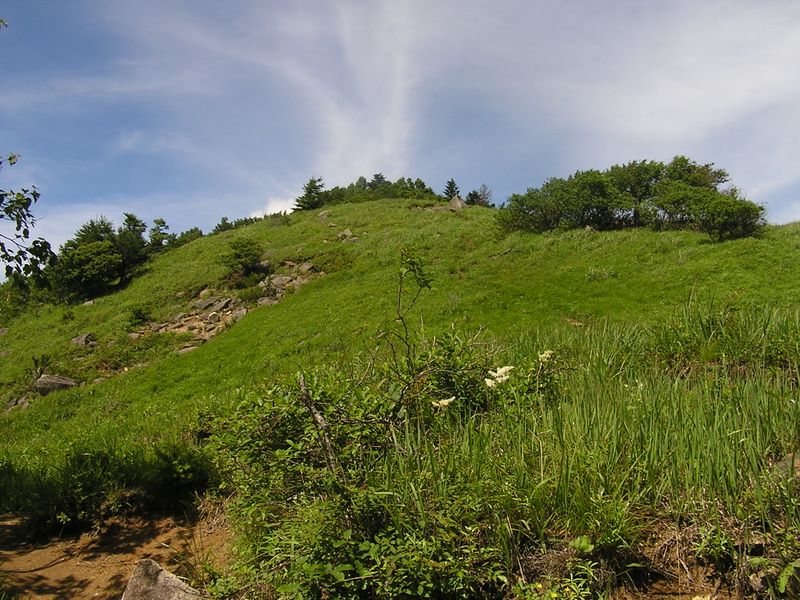 小金沢山・牛奥ノ雁ヶ腹摺山 -- 白谷ノ丸を振り返る