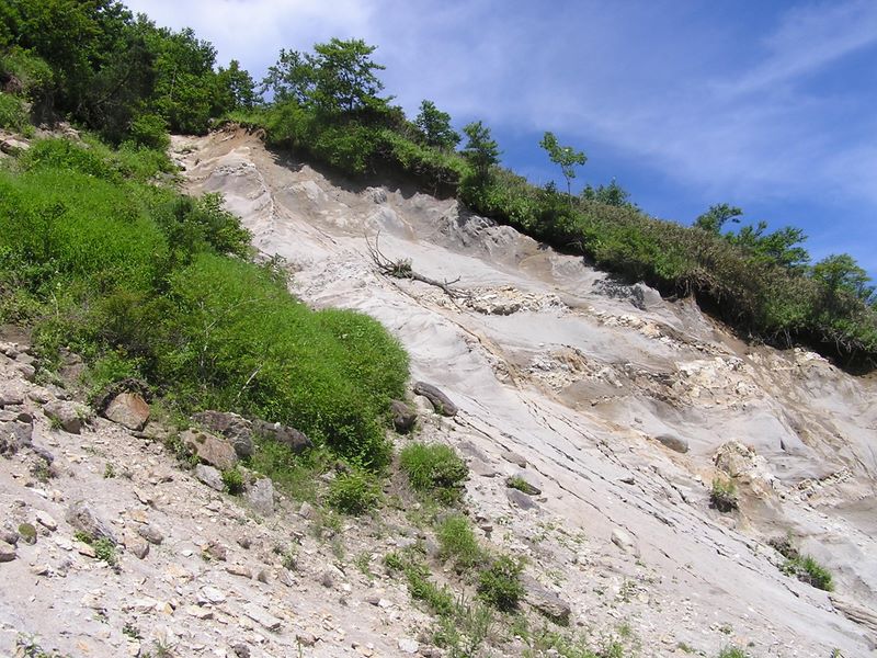 白谷ノ丸の白い肌がむき出し