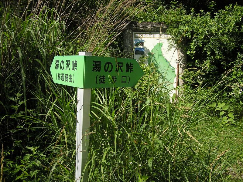 右手の登山道から下りて来て、ここから林道を下る