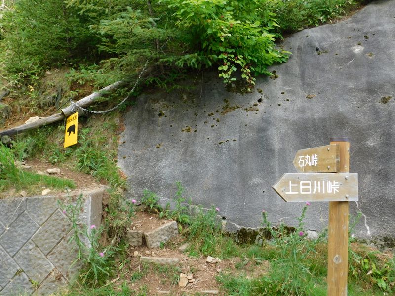 林道から登山道へ