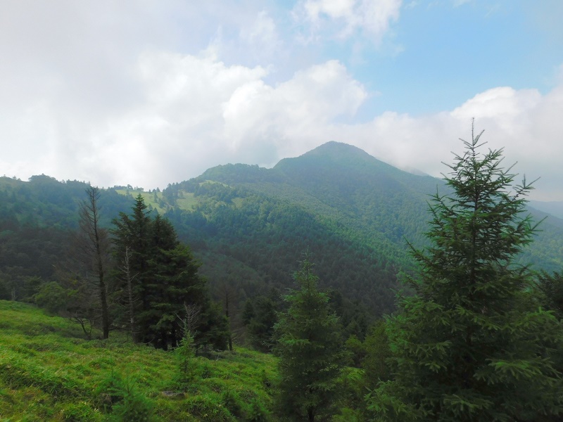 行く手の小金沢山