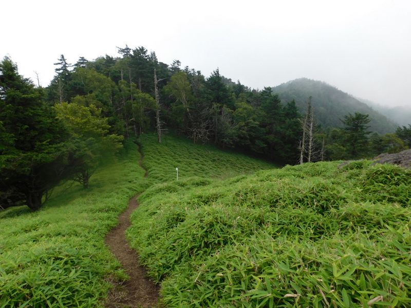 牛奥ノ雁ヶ腹摺山に向かう