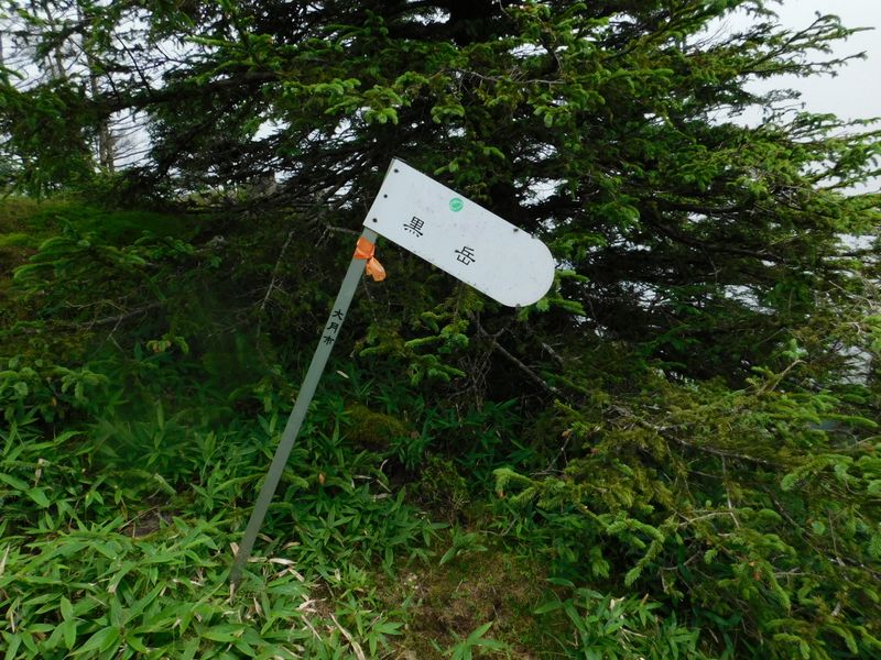 この道標を見落とした