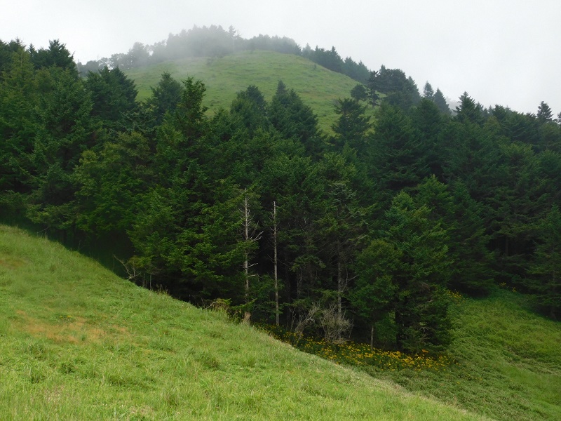 もう一度、牛奥ノ雁ヶ腹摺山