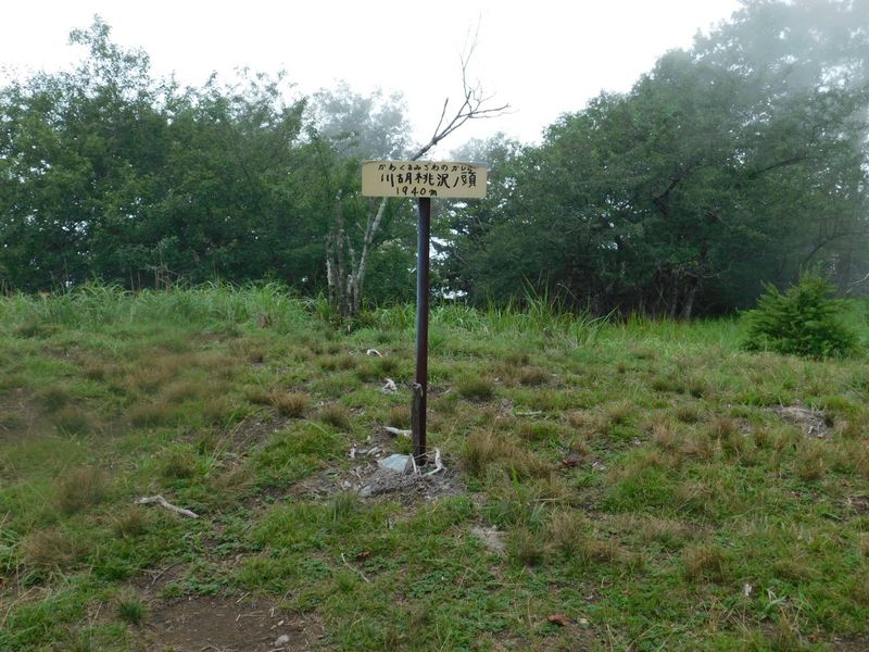 川胡桃沢ノ頭