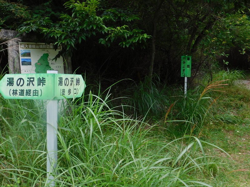 焼山林道に降り立つ