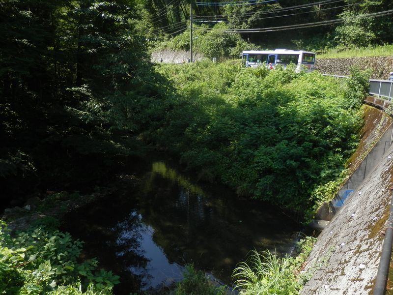 日影でバスを下りる。