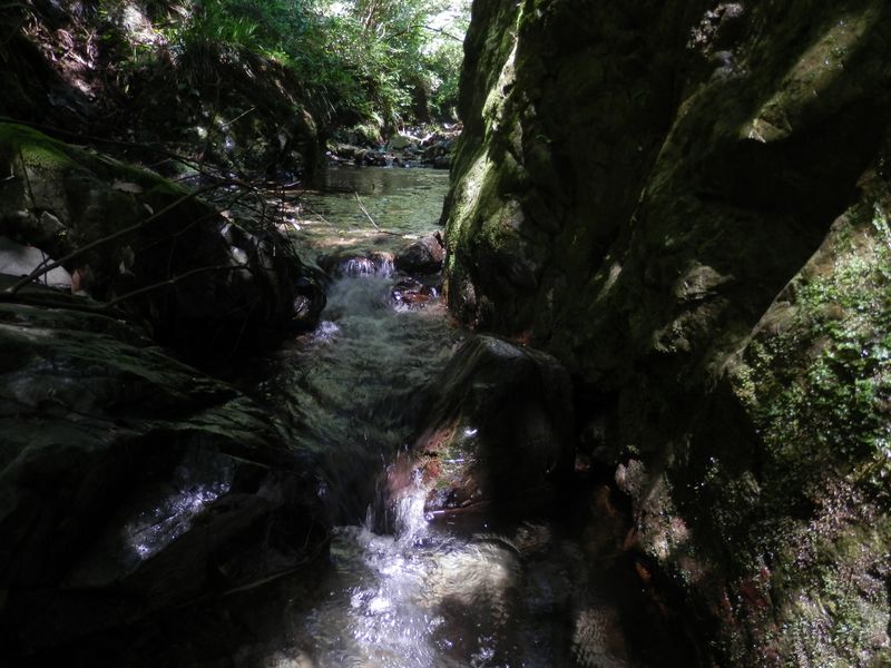 流れの狭い部分が楽しい