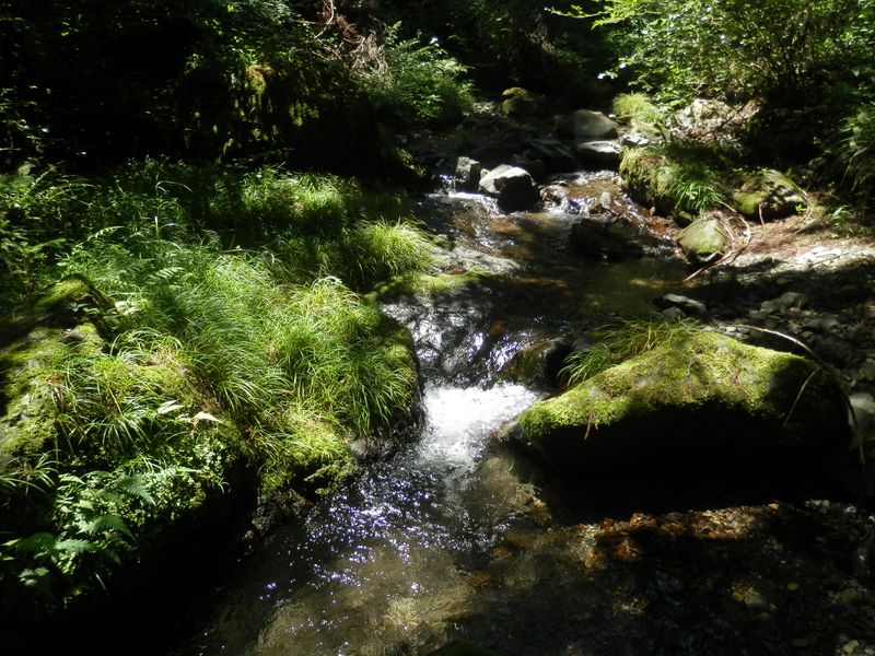 夏休みに子供と来てもいいな