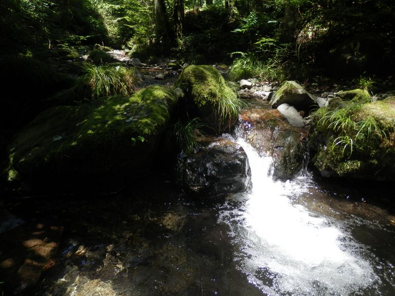 深い部分でも股下