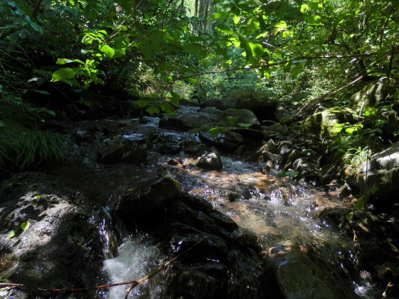 木の枝にも気を付けて