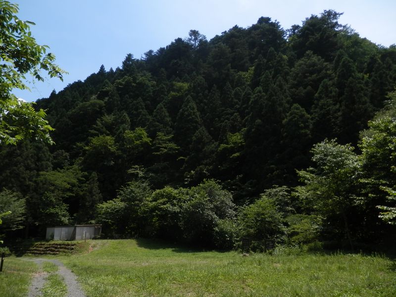 キャンプ場跡の広場で昼食後、林道を関場峠へ