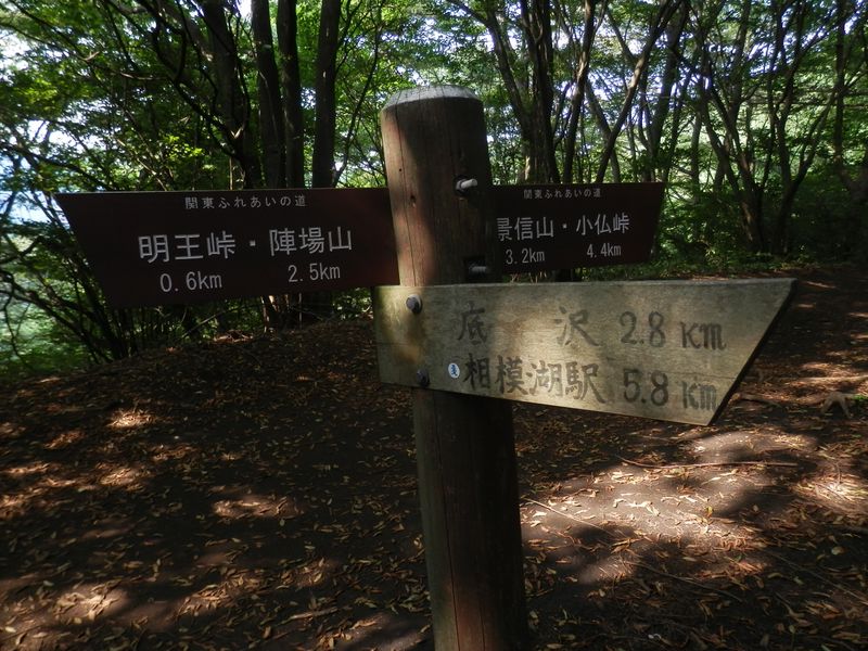 この分岐から底沢に下りた