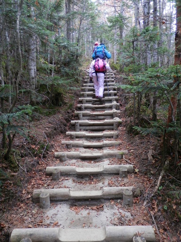 整備された登山道