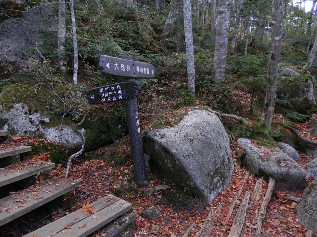 国師ヶ岳 -- 夢の庭園への分岐