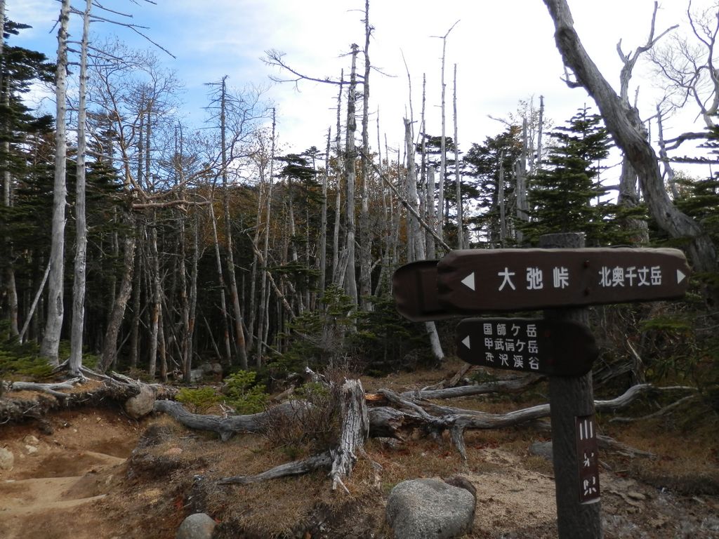 国師ヶ岳 -- まず、右の北奥千丈岳に向かう