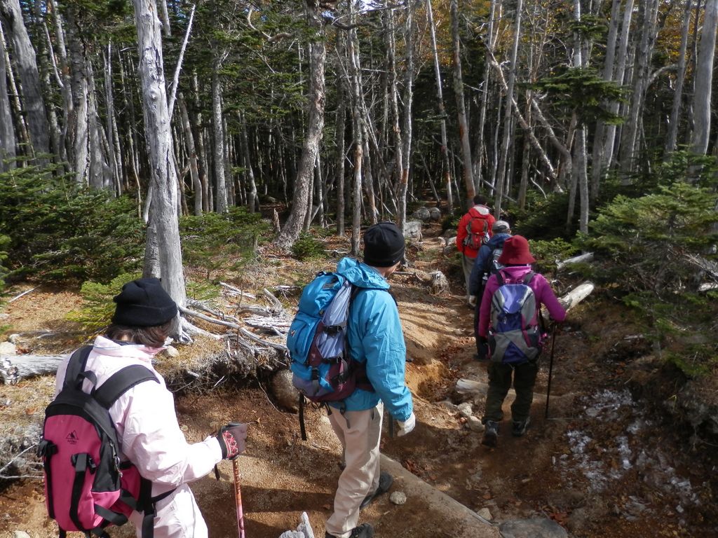 国師ヶ岳に向かう