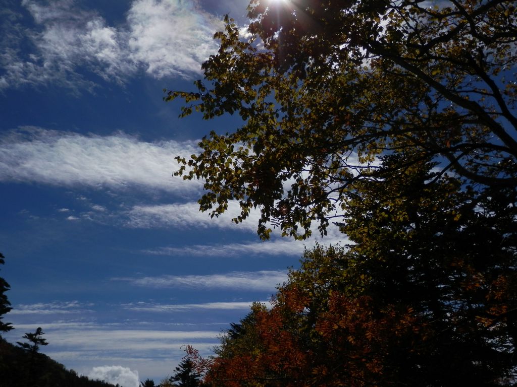 さようなら、大弛峠
