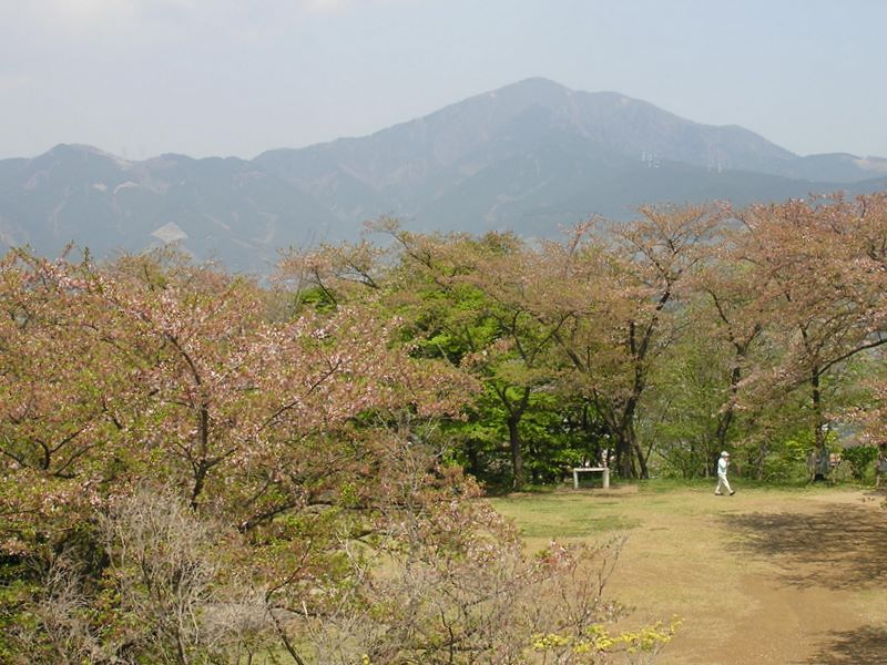 弘法山 -- 大山を望む