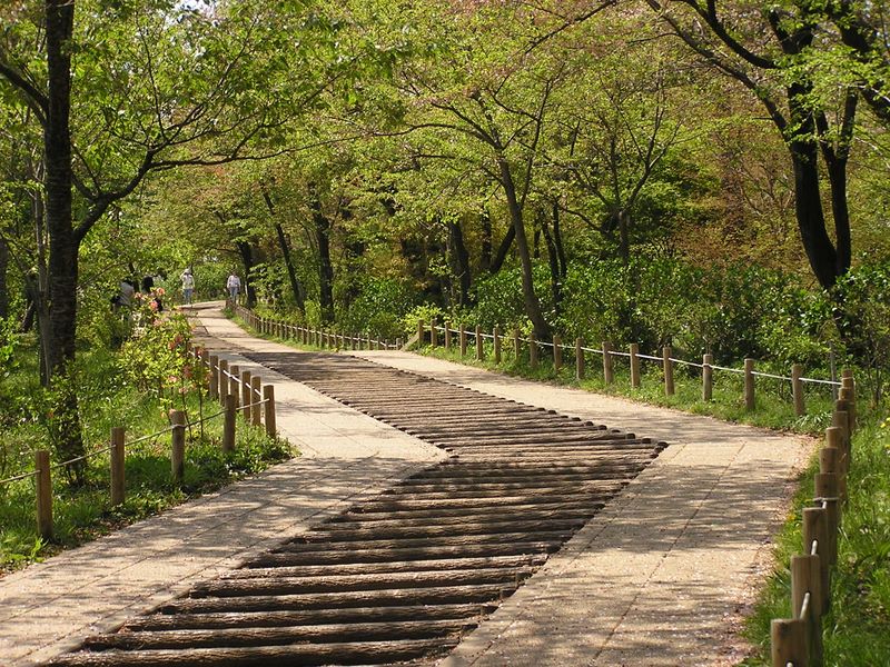 弘法山 -- 初々しい緑がいっぱい