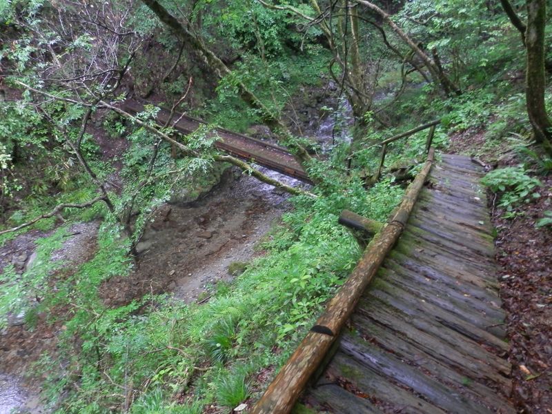 小坂志川に下りる