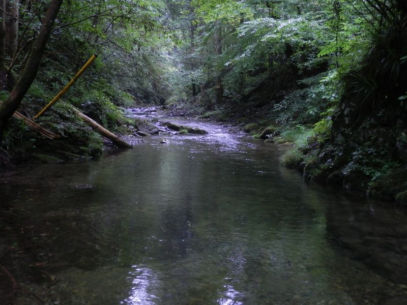 静かな流れだが
