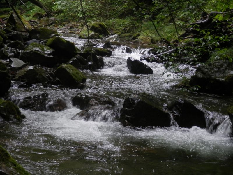 どこを通過しようか？