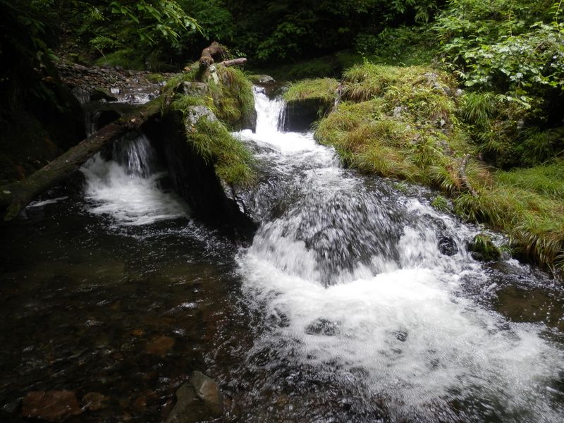 右の草地が容易