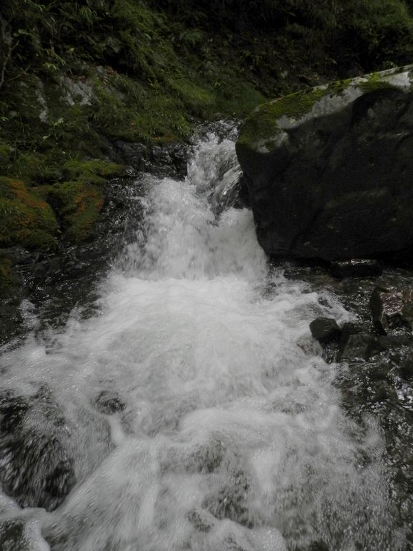 腕力で強行突破