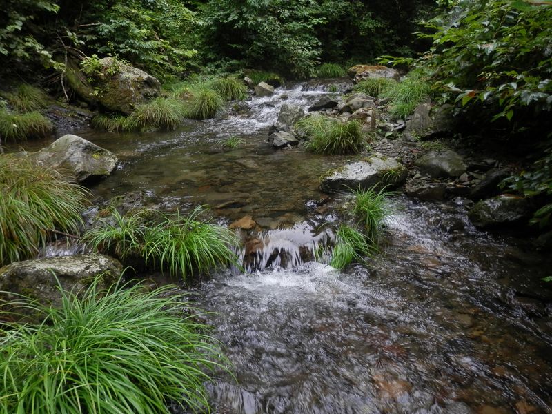 メルヘンチック