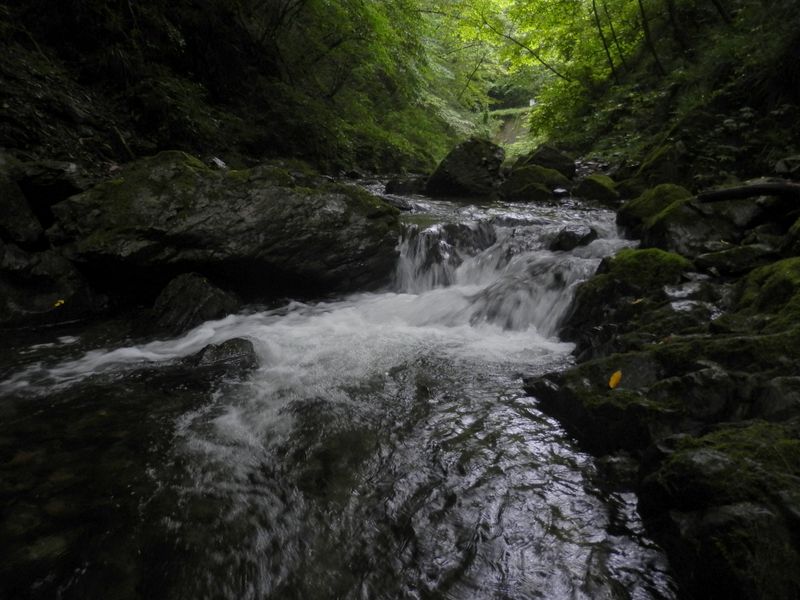 きれいなのは、この辺りまで