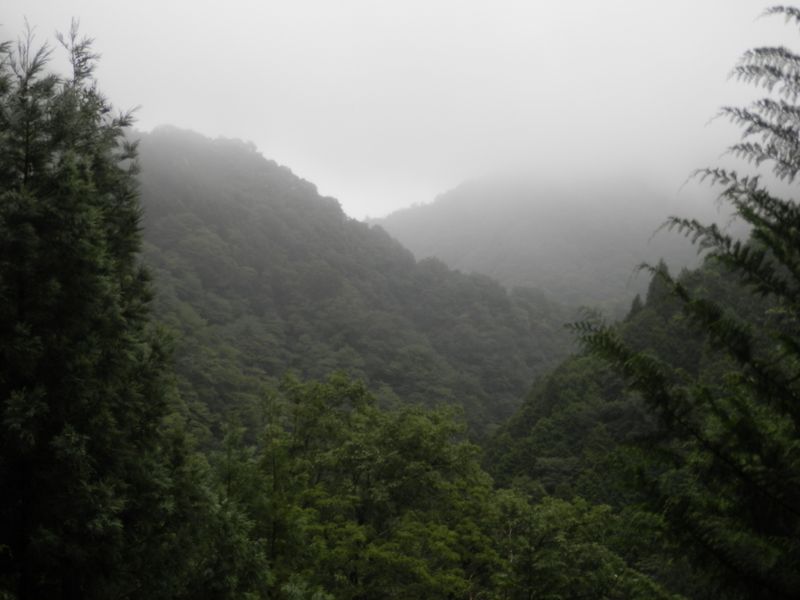 湯場ノ尾根かな