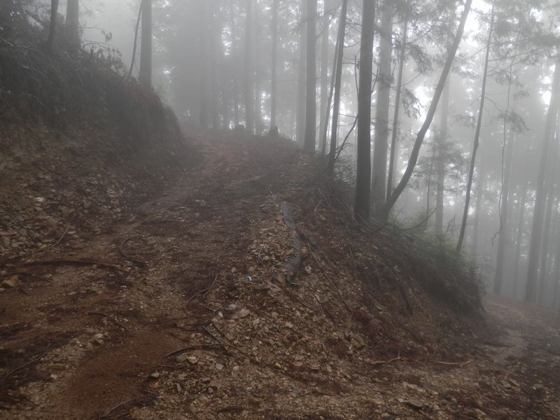 湯場ノ尾根の作業道