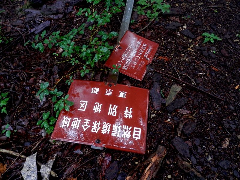 いつ立てられたものだろう？