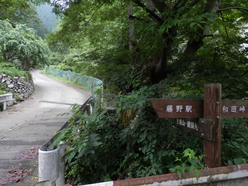 この道を下りて来た